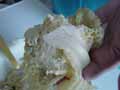 Folding stuffed cabbage leaf parcel 1