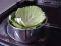 Cabbage leaves in saucepan Cabbage leaves in saucepan
