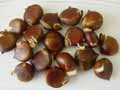 Chestnuts ready for roasting