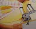 Dough in pasta machine
