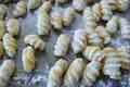 Floured gnocchi