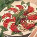 Mozzarella and tomato salad