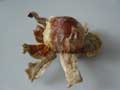 Outer skins removed