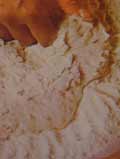 Sponging stage of bread making