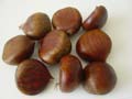Sweet chestnuts